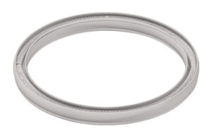 Spring Energized Seals